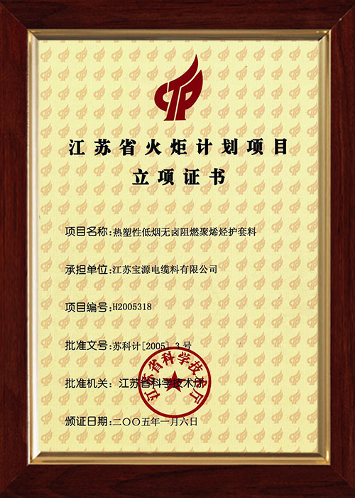 江苏省火炬计划项目立项证书