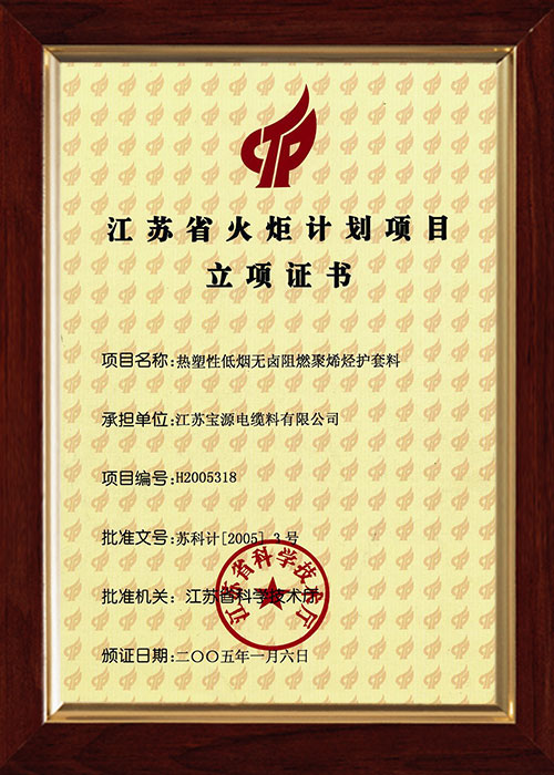 江苏省火炬计划项目立项证书
